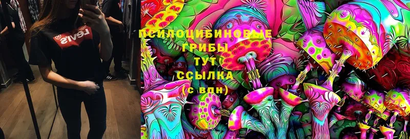 купить  сайты  Нижнекамск  Галлюциногенные грибы Cubensis 